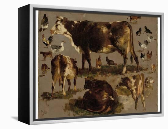 Studies of Cows, Hens, Roosters, a Goose and a Sheep (Oil on Canvas)-Rosa Bonheur-Framed Premier Image Canvas