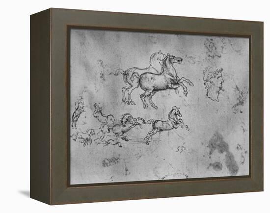 'Studies of Galloping Horses and a Head', c1480 (1945)-Leonardo Da Vinci-Framed Premier Image Canvas