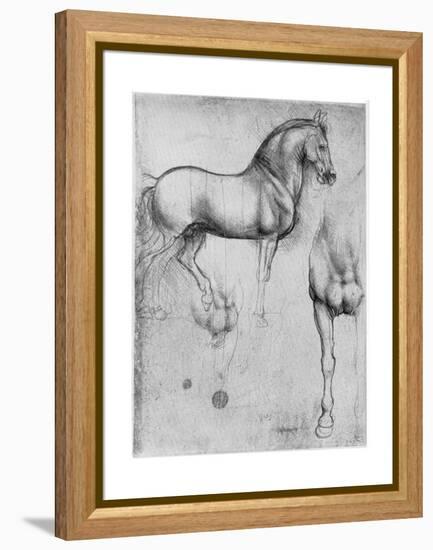 Studies of Horses, C1490-Leonardo da Vinci-Framed Premier Image Canvas