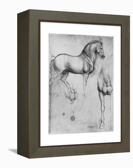 Studies of Horses, C1490-Leonardo da Vinci-Framed Premier Image Canvas