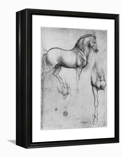 Studies of Horses, C1490-Leonardo da Vinci-Framed Premier Image Canvas