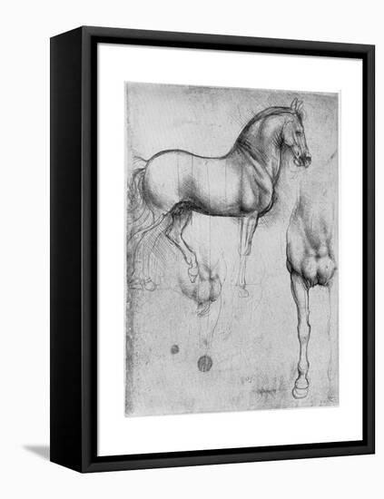 Studies of Horses, C1490-Leonardo da Vinci-Framed Premier Image Canvas