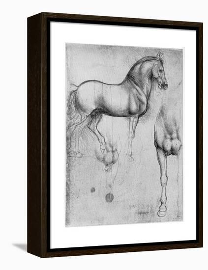 Studies of Horses, C1490-Leonardo da Vinci-Framed Premier Image Canvas