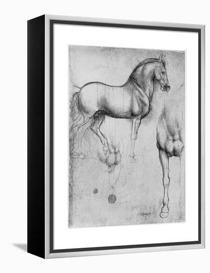 Studies of Horses, C1490-Leonardo da Vinci-Framed Premier Image Canvas