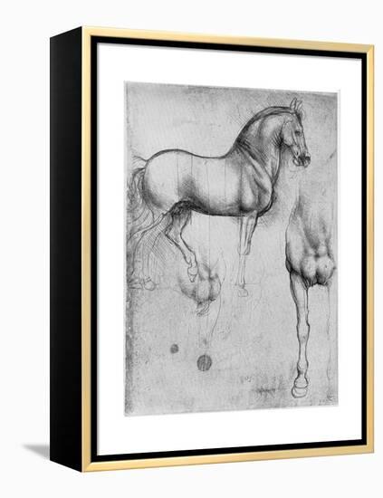 Studies of Horses, C1490-Leonardo da Vinci-Framed Premier Image Canvas