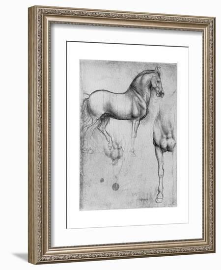 Studies of Horses, C1490-Leonardo da Vinci-Framed Giclee Print