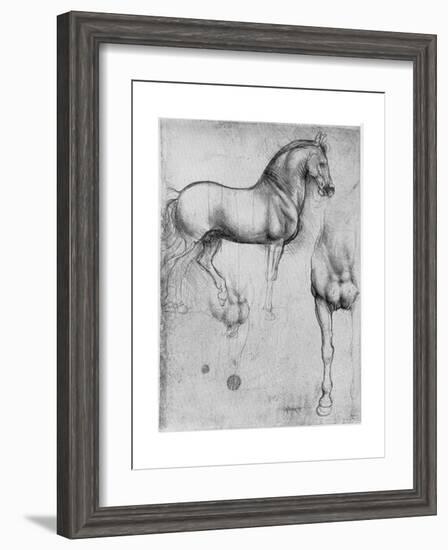 Studies of Horses, C1490-Leonardo da Vinci-Framed Giclee Print