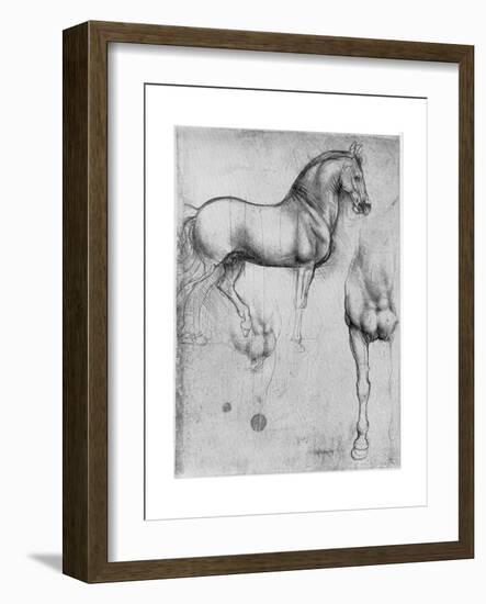 Studies of Horses, C1490-Leonardo da Vinci-Framed Giclee Print