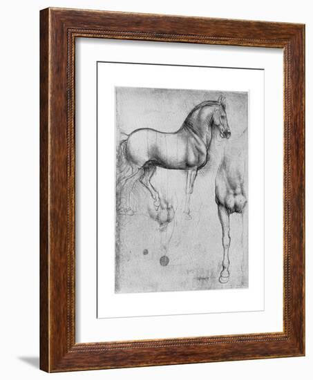 Studies of Horses, C1490-Leonardo da Vinci-Framed Giclee Print