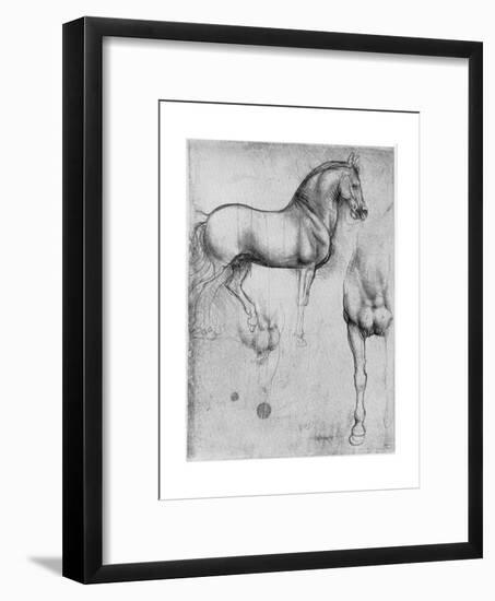 Studies of Horses, C1490-Leonardo da Vinci-Framed Giclee Print