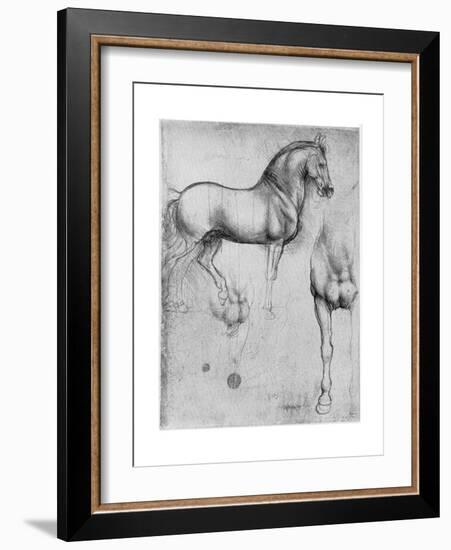 Studies of Horses, C1490-Leonardo da Vinci-Framed Giclee Print