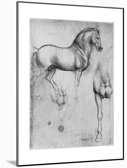 Studies of Horses, C1490-Leonardo da Vinci-Mounted Giclee Print