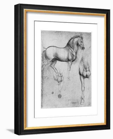 Studies of Horses, C1490-Leonardo da Vinci-Framed Giclee Print