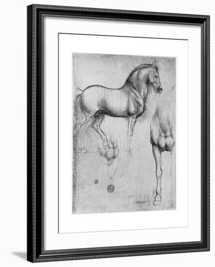 Studies of Horses, C1490-Leonardo da Vinci-Framed Giclee Print