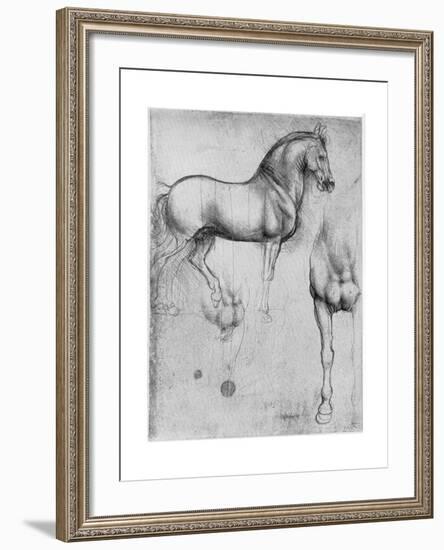 Studies of Horses, C1490-Leonardo da Vinci-Framed Giclee Print