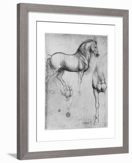 Studies of Horses, C1490-Leonardo da Vinci-Framed Giclee Print