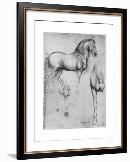 Studies of Horses, C1490-Leonardo da Vinci-Framed Giclee Print