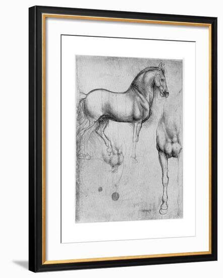 Studies of Horses, C1490-Leonardo da Vinci-Framed Giclee Print