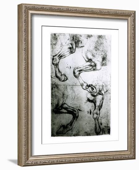 Studies of Horses legs-Leonardo da Vinci-Framed Giclee Print