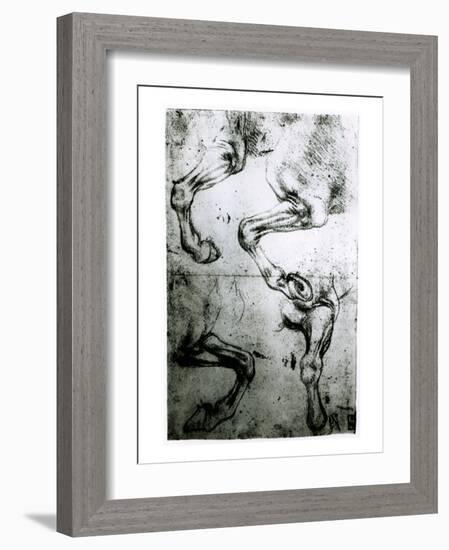 Studies of Horses legs-Leonardo da Vinci-Framed Giclee Print