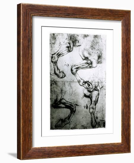 Studies of Horses legs-Leonardo da Vinci-Framed Giclee Print