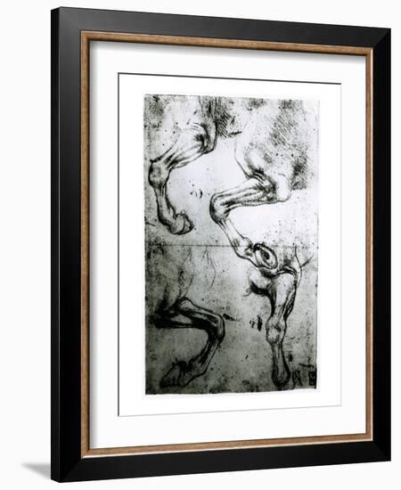 Studies of Horses legs-Leonardo da Vinci-Framed Giclee Print