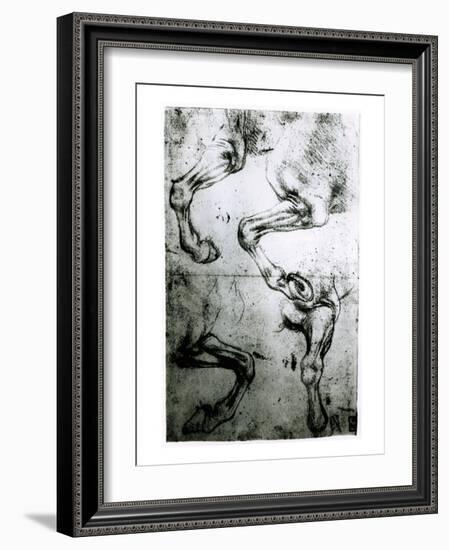 Studies of Horses legs-Leonardo da Vinci-Framed Giclee Print