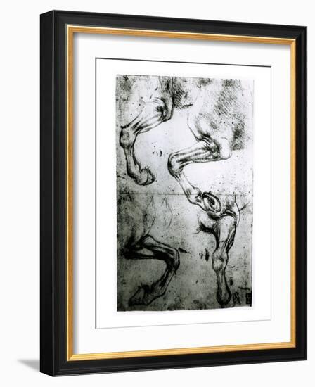 Studies of Horses legs-Leonardo da Vinci-Framed Giclee Print