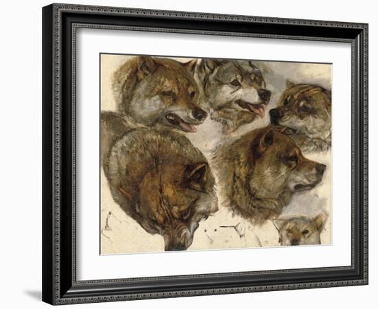 Studies of Huskies' Heads-George Bouverie Goddard-Framed Giclee Print