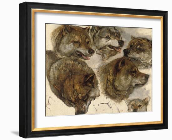 Studies of Huskies' Heads-George Bouverie Goddard-Framed Giclee Print