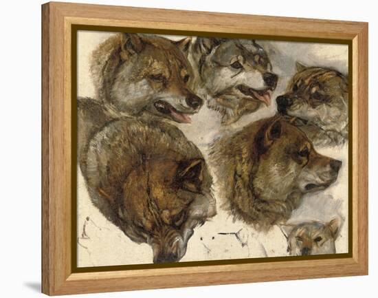 Studies of Huskies' Heads-George Bouverie Goddard-Framed Premier Image Canvas