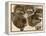 Studies of Huskies' Heads-George Bouverie Goddard-Framed Premier Image Canvas