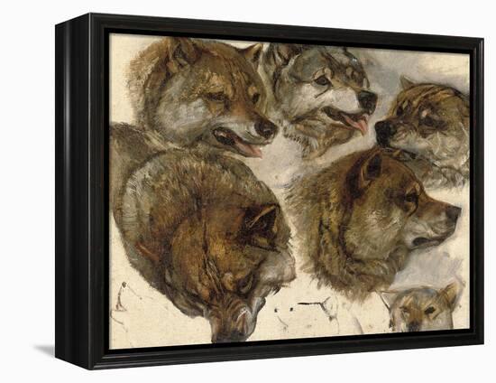 Studies of Huskies' Heads-George Bouverie Goddard-Framed Premier Image Canvas