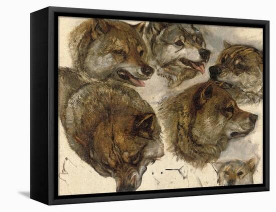 Studies of Huskies' Heads-George Bouverie Goddard-Framed Premier Image Canvas