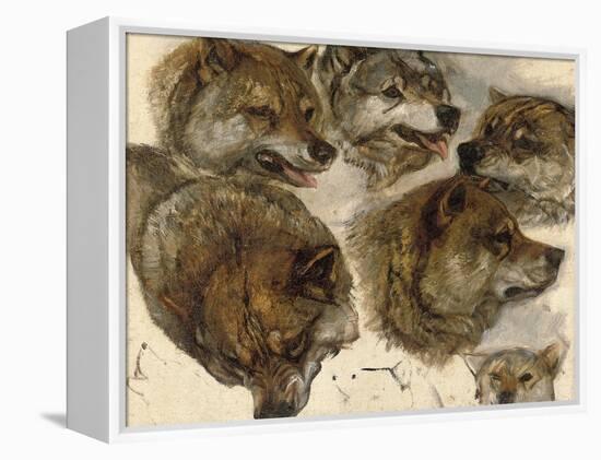 Studies of Huskies' Heads-George Bouverie Goddard-Framed Premier Image Canvas