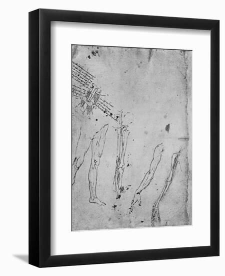 Studies of Legs, of the Bones and Tendons of a Leg, of an Arm-Leonardo Da Vinci-Framed Giclee Print