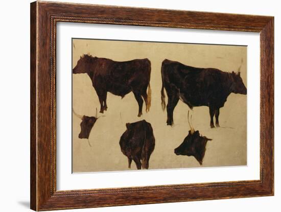 Studies of Long Horned Cattle (Oil on Board)-Richard Ansdell-Framed Giclee Print