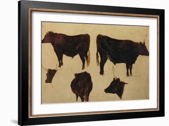 Studies of Long Horned Cattle (Oil on Board)-Richard Ansdell-Framed Giclee Print