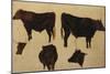 Studies of Long Horned Cattle (Oil on Board)-Richard Ansdell-Mounted Giclee Print