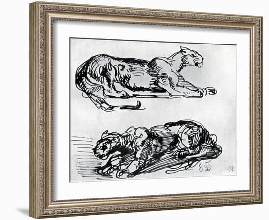 Studies of Panthers, 1913-Eugene Delacroix-Framed Giclee Print