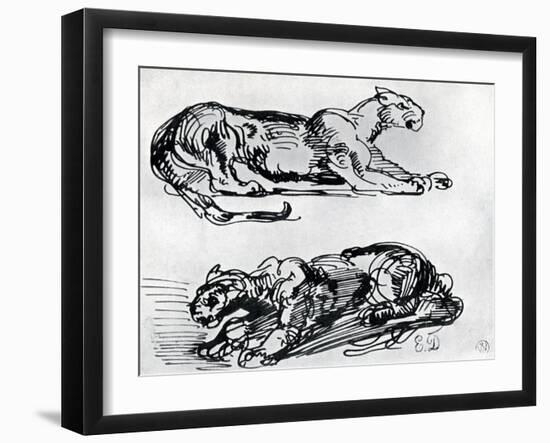 Studies of Panthers, 1913-Eugene Delacroix-Framed Giclee Print