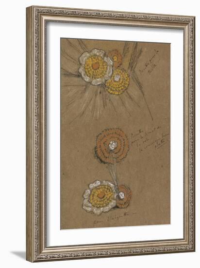 Studies of Rosettes, 1871-74-James Abbott McNeill Whistler-Framed Giclee Print