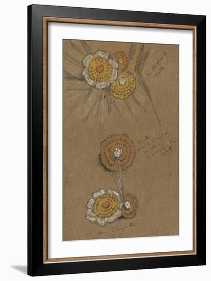 Studies of Rosettes, 1871-74-James Abbott McNeill Whistler-Framed Giclee Print