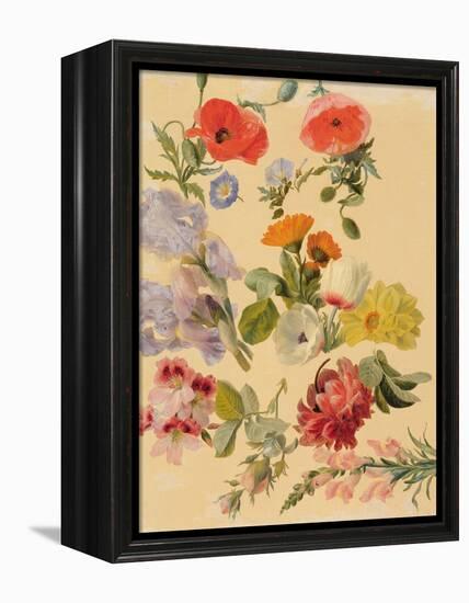 Studies of Summer Flowers-Jacques-Laurent Agasse-Framed Premier Image Canvas