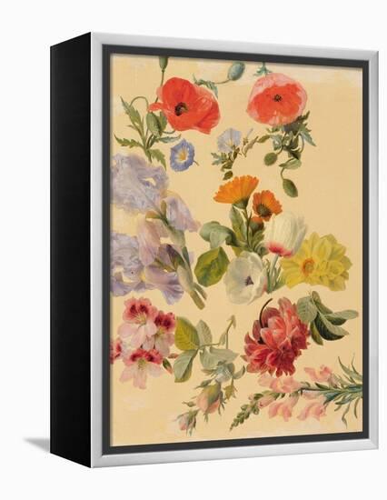 Studies of Summer Flowers-Jacques-Laurent Agasse-Framed Premier Image Canvas