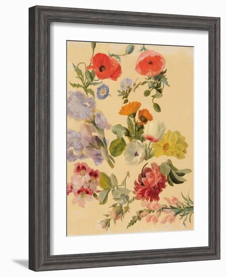 Studies of Summer Flowers-Jacques-Laurent Agasse-Framed Giclee Print