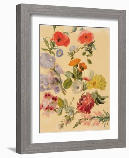 Studies of Summer Flowers-Jacques-Laurent Agasse-Framed Giclee Print