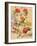 Studies of Summer Flowers-Jacques-Laurent Agasse-Framed Giclee Print