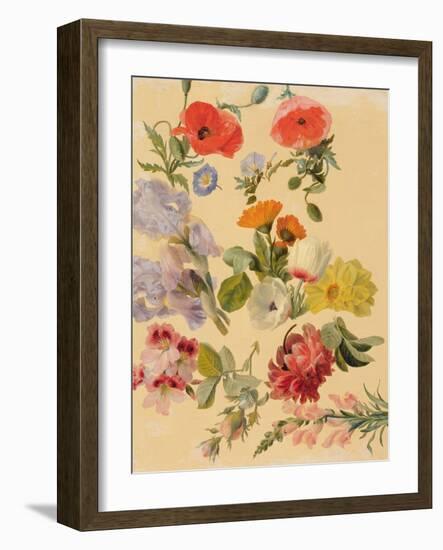 Studies of Summer Flowers-Jacques-Laurent Agasse-Framed Giclee Print