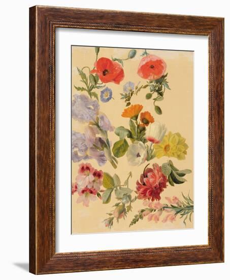 Studies of Summer Flowers-Jacques-Laurent Agasse-Framed Giclee Print